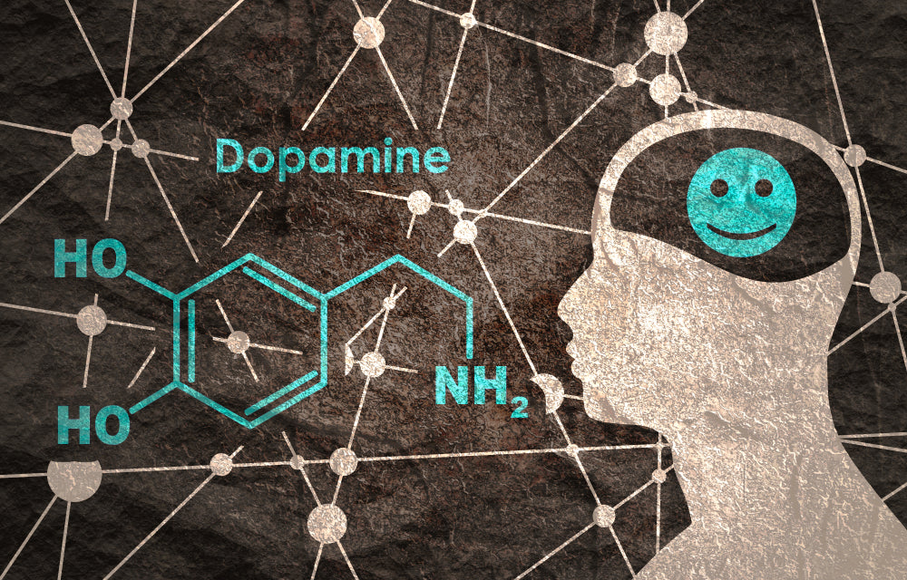 Dopamine: What is it, What Does it Do and How Can you Increase your Levels?