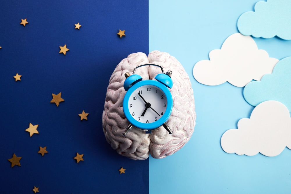 Melatonin: the Secret Behind your Internal Clock and Sleep Cycles